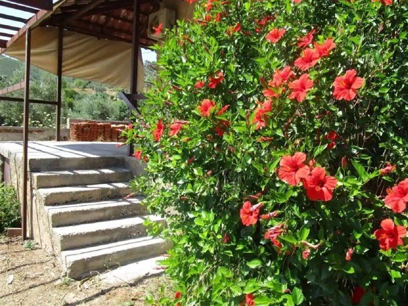 Countryside House Guest House Perachora Exterior photo
